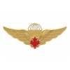 Odznaka - Kanadyjski Spadochroniarz - Złota