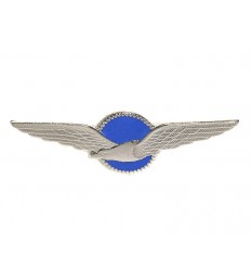 Odznaka Królewskie Holenderskie Siły Powietrzne - KLU