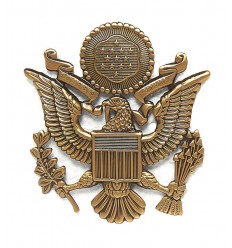 Odznaka - US Air Force Hat Insygnia - Odznaka na czapkę