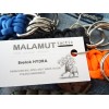 MALAMUT - Brelok surwiwalowy do kluczy HYDRA - Paracord 1,4m (Made USA) - Urban Camo
