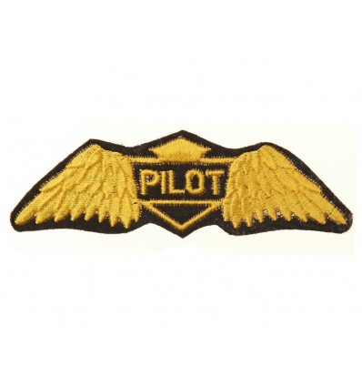 101 Inc. - Naszywka Golden Wings US Air Force - Pilot