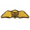 101 Inc. - Naszywka Golden Wings US Air Force - Pilot